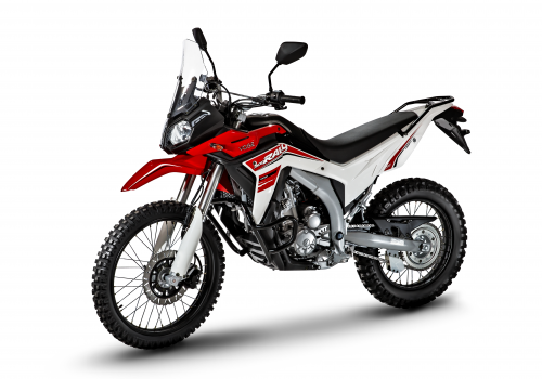 Мотоцикл DS2 PRO LX300GY-A зображення 1